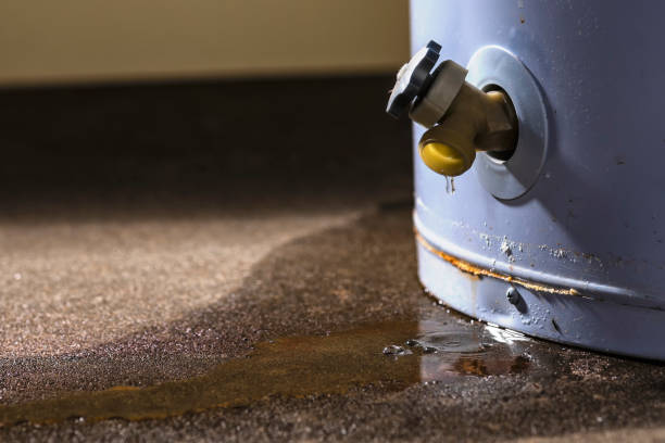 Professional Water damage restoration in Bradfordville, FL