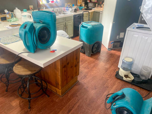 Best Emergency water damage restoration  in Bradfordville, FL