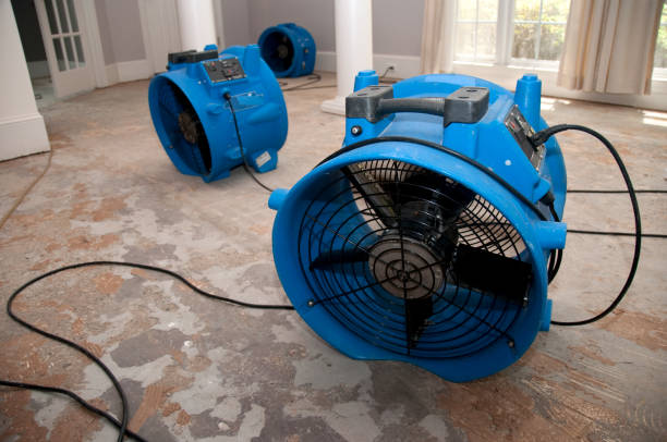 Water damage restoration process in Bradfordville, FL