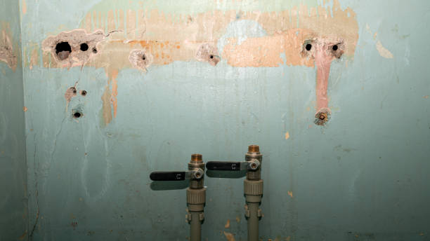 Best Flood restoration services  in Bradfordville, FL