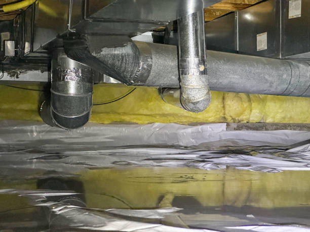 Best Water damage contractors near me  in Bradfordville, FL