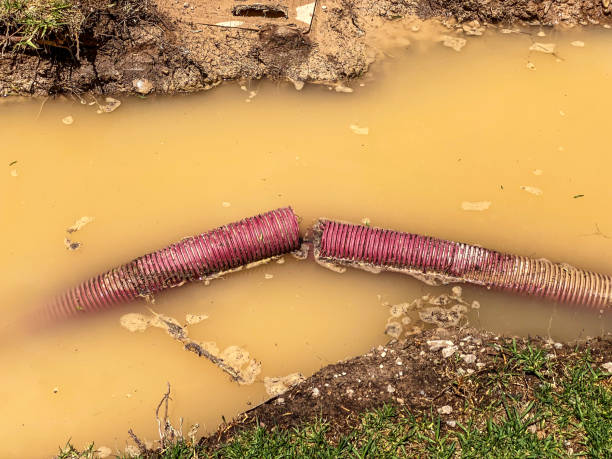Best 24-hour water damage restoration  in Bradfordville, FL