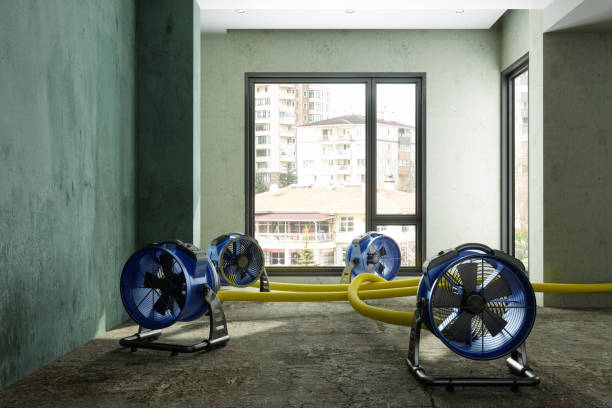 Best Water damage repair service  in Bradfordville, FL